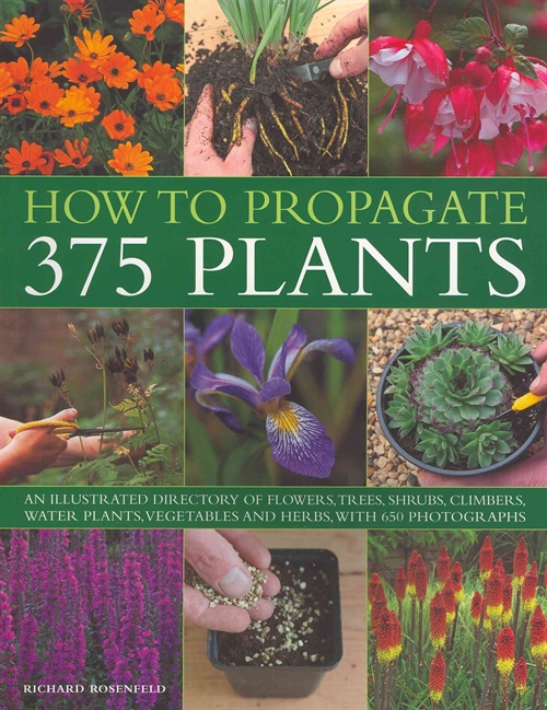 How to Propagate 375 Plants