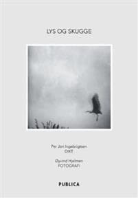 Lys og skugge