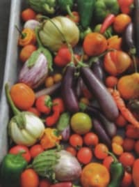 The Zero-Mile Diet Cookbook
