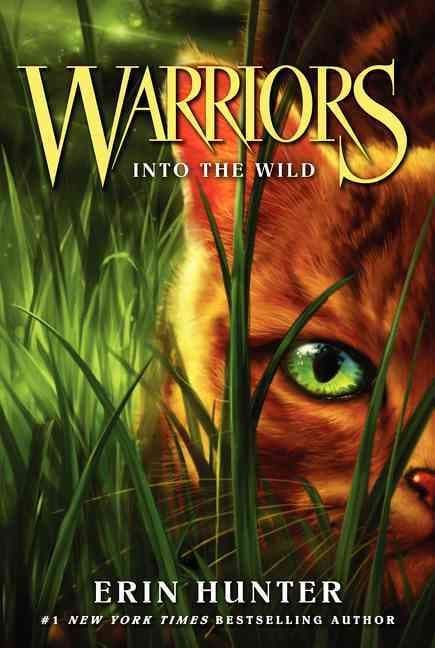 Warriors #1