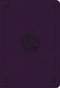 ESV Value Large Print Compact Bible