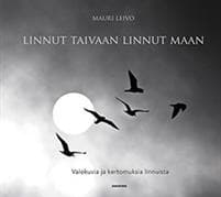 Linnut taivaan linnut maan