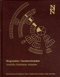 Ringmaskar : havsborstmaskar. Annelida : polychaeta: aciculata