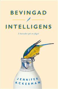 Bild av Bevingad intelligens : I huvudet på en fågel