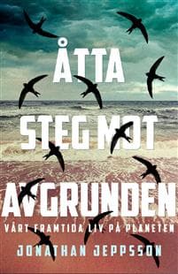 Åtta steg mot avgrunden : vårt framtida liv på planeten