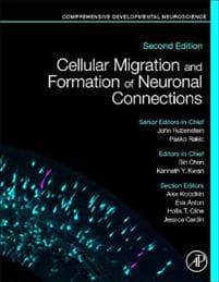 Cellular Migration and Formation of Axons and Dendrites