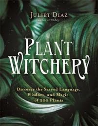 Plant Witchery