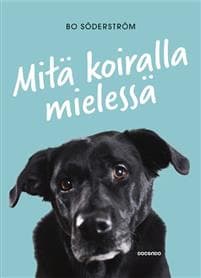 Mitä koiralla mielessä