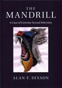 The Mandrill