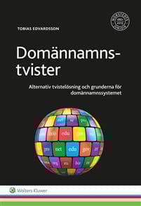 Domännamnstvister : alternativ tvistelösning och grunderna för domännamnssystemet