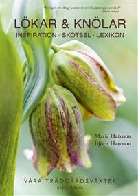 Lökar & knölar : Inspiration - Skötsel - Lexikon