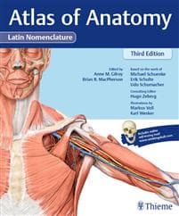 Atlas of Anatomy, 3e Latin