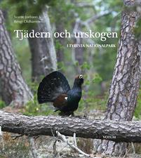 Tjädern och urskogen