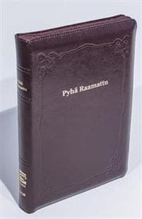 Raamattu (johdannoin, iso koko, iso teksti, v.punainen, vk R46, nahkakansi)