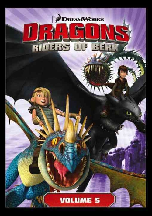 Dragons Riders of Berk