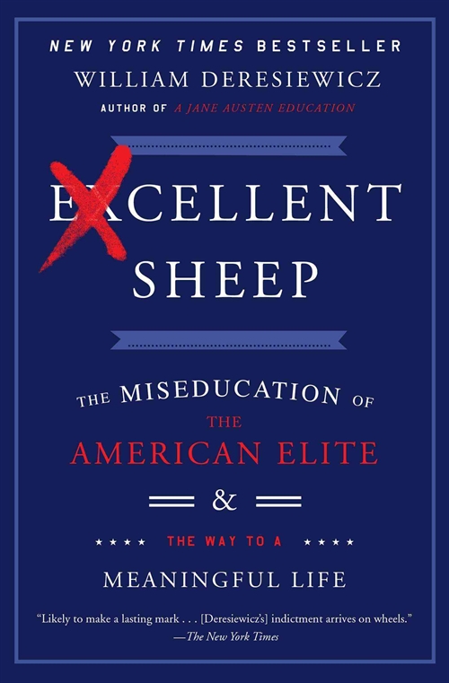 Excellent Sheep