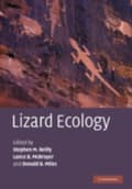 Miniatyrbilde 1 av 2: Lizard Ecology