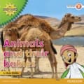 Miniatyrbild 1 av 2: My Gulf World and Me Level 2 non-fiction reader: Animals and their babies