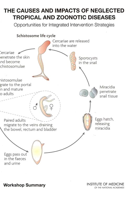The Causes and Impacts of Neglected Tropical and Zoonotic Diseases
