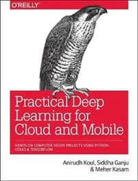 Practical Deep Learning for Cloud and Mobile