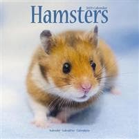Hamsters 2021 Wall Calendar