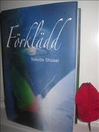 Förklädd