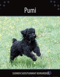 Pumi