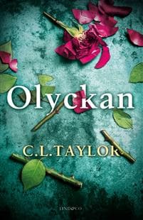 Olyckan