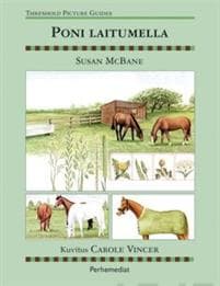 Poni laitumella