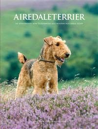 Airedaleterrier : en hänförande resa tillsammans med hundar och deras ägare