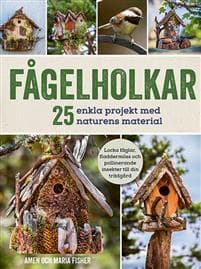 Fågelholkar: 25 enkla projekt med naturens material