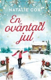 En oväntad jul