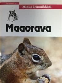 Maaorava