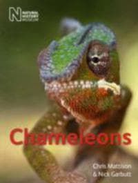 Chameleons