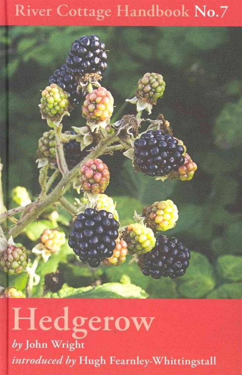 Hedgerow