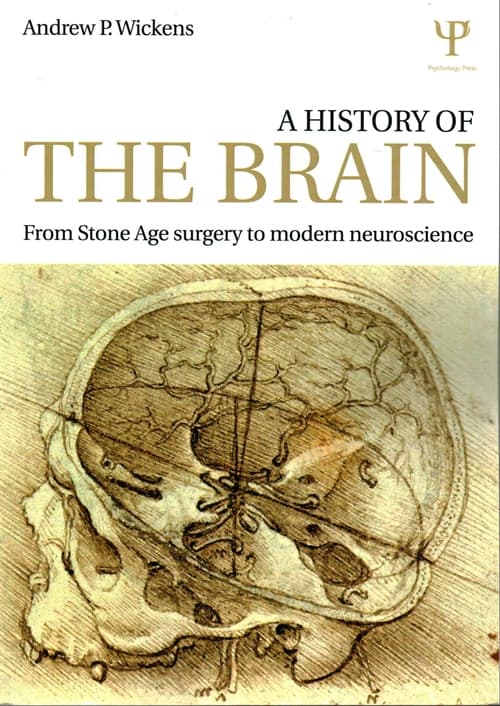 A History of the Brain