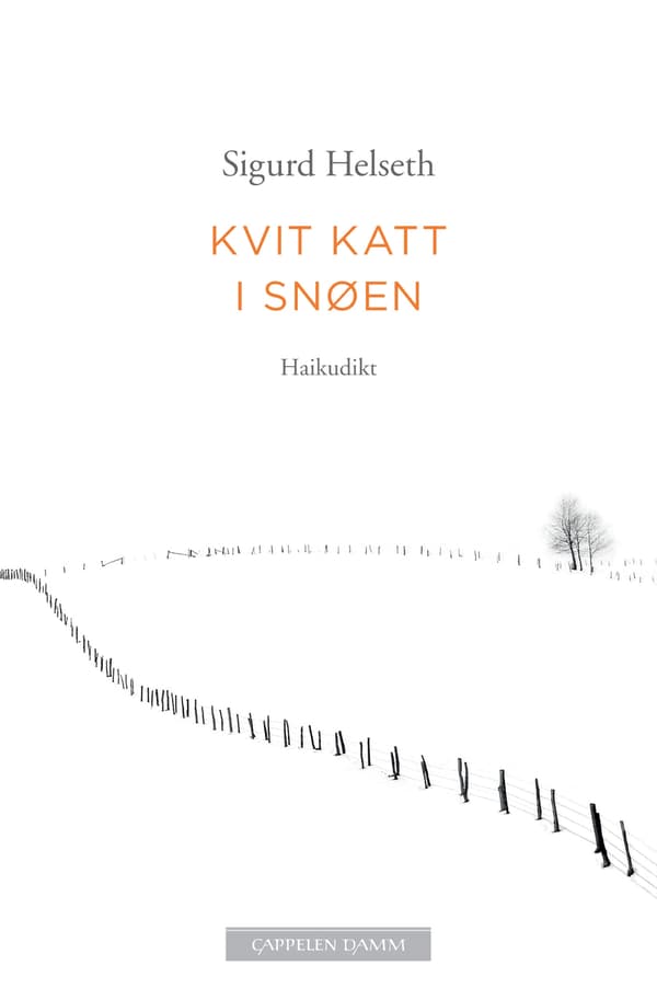 Kvit katt i snøen