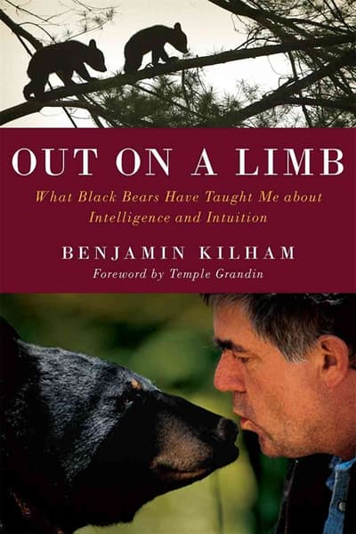 In the Company of Bears