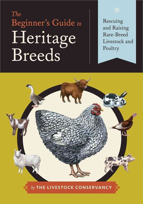 Introduction to Heritage Breeds