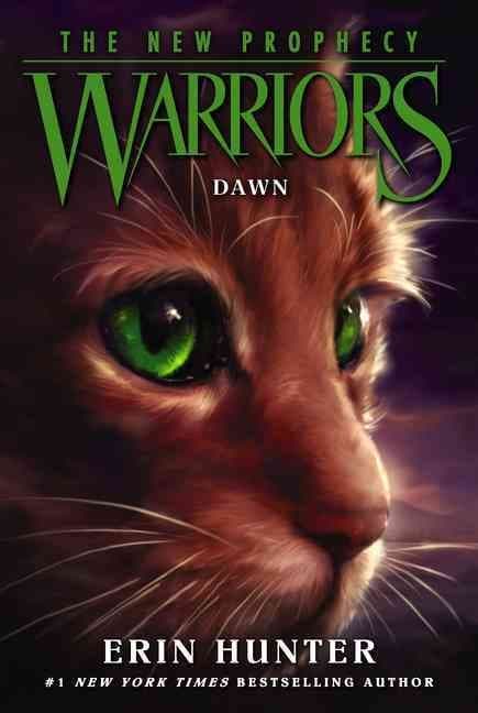 Warriors: Power of Three #3: Outcast