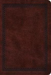 ESV Value Large Print Compact Bible