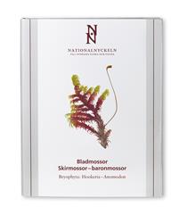Bladmossor