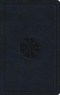 ESV Large Print Value Thinline Bible