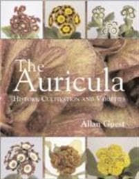 Auricula: History, Cultivation and Varieties