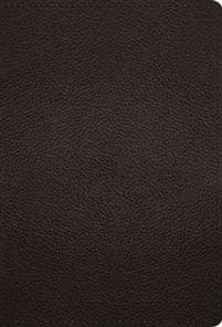 ESV Large Print Compact Bible, Red Letter