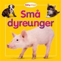 Små dyreunger