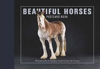 Beautiful Horses Postcard Book