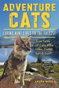 Adventure Cats