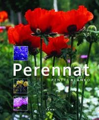 Perennat