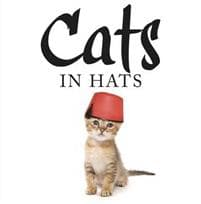 Cats in Hats